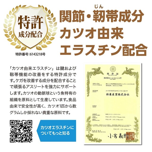 NOBITA ノビタ NOBITA-Proソイプロテイン メディカル トレーニング FD0008 画像11