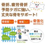 NOBITA ノビタ NOBITA-Proソイプロテイン メディカル トレーニング FD0008 画像12