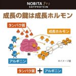 NOBITA ノビタ NOBITA-Proソイプロテイン メディカル トレーニング FD0008 画像7