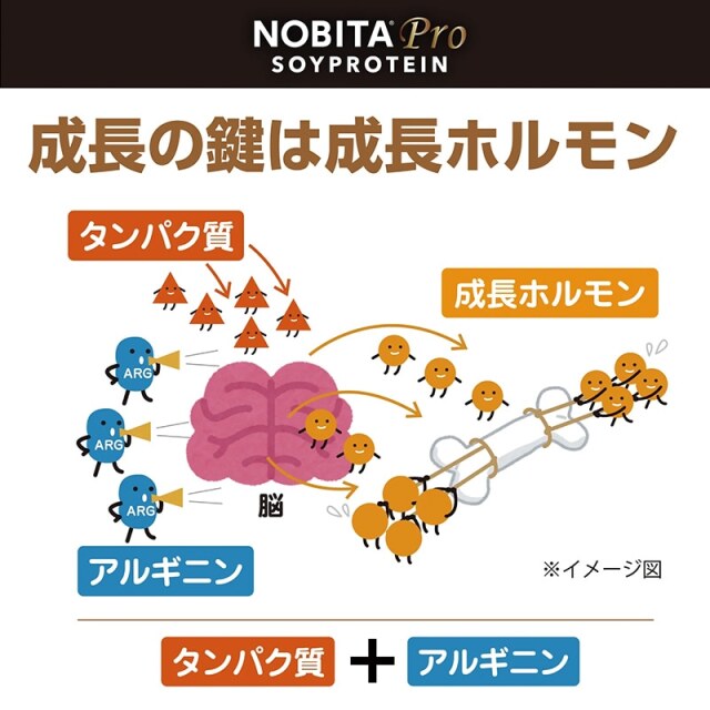 NOBITA ノビタ NOBITA-Proソイプロテイン メディカル トレーニング FD0008 画像7