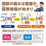 NOBITA ノビタ NOBITA-Proソイプロテイン メディカル トレーニング FD0008 画像10