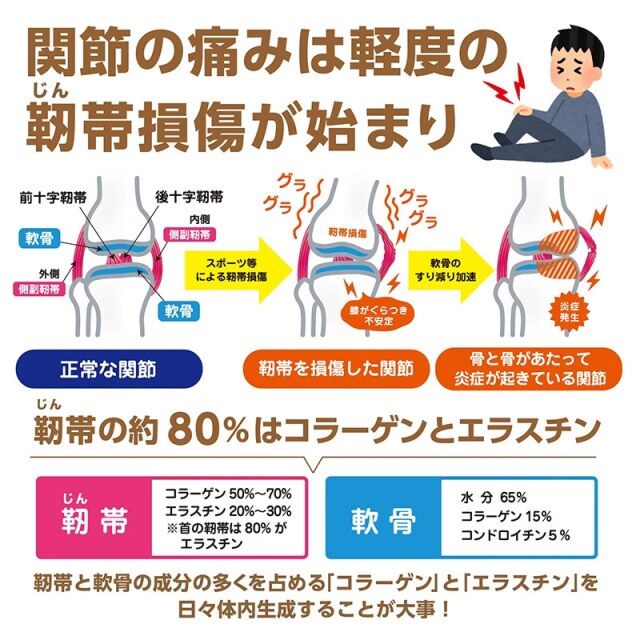 NOBITA ノビタ NOBITA-Proソイプロテイン メディカル トレーニング FD0008 画像10