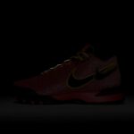 NIKE LBJ NXXT GEN ISUS EP HF0711-600 画像9