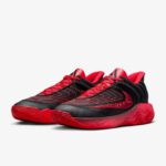 NIKE GIANNIS IMMORTALITY 4 EP FQ3681-004 画像1