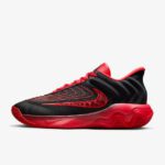 NIKE GIANNIS IMMORTALITY 4 EP FQ3681-004 画像2