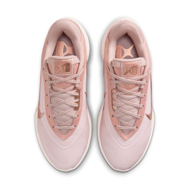 JORDAN A'OneStone Mauve EP Aone EP エーワンEP FZ8606-200 画像4