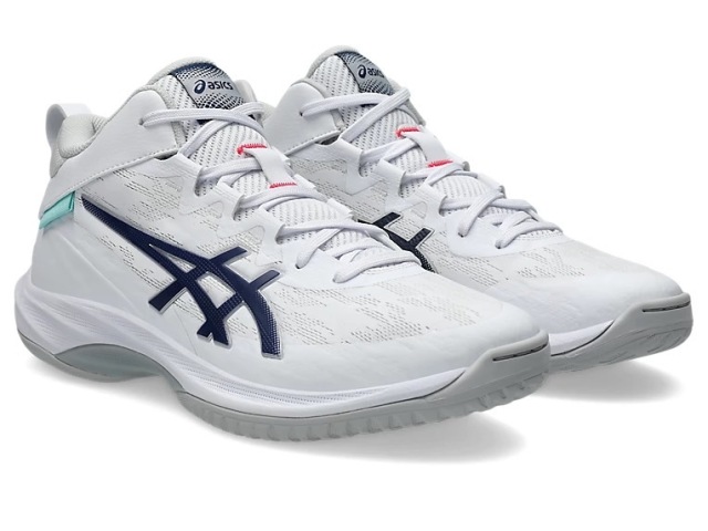 asics GEL HOOP V17 1063A096-104