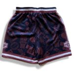 HOOP GEAR フープギア ハーフパンツ キッズ 春夏 HGSUP-2603 画像5