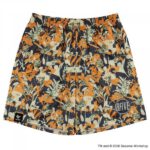 BFIVE SESAME STREET BOTANICAL SHORTS ORANGE [ジュニア〕 セサミストリート ハーフパンツ パンツ 22875 画像2