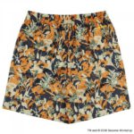 BFIVE SESAME STREET BOTANICAL SHORTS ORANGE [ジュニア〕 セサミストリート ハーフパンツ パンツ 22875 画像3