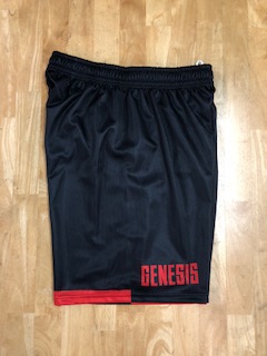 　（沖縄県一般クラブチーム）　昇華ユニフォーム GENESIS 画像5