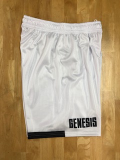 　（沖縄県一般クラブチーム）　昇華ユニフォーム GENESIS 画像10