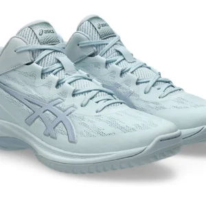asics GEL HOOP V17 1063A096-400