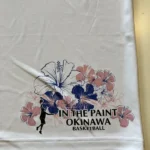 IN THE PAINT  ITPTS-2608 画像5