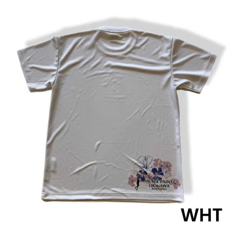 IN THE PAINT  ITPTS-2608 画像3