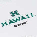 BFIVE HAWAII EMBLEM TEE WHITE 23910 画像5