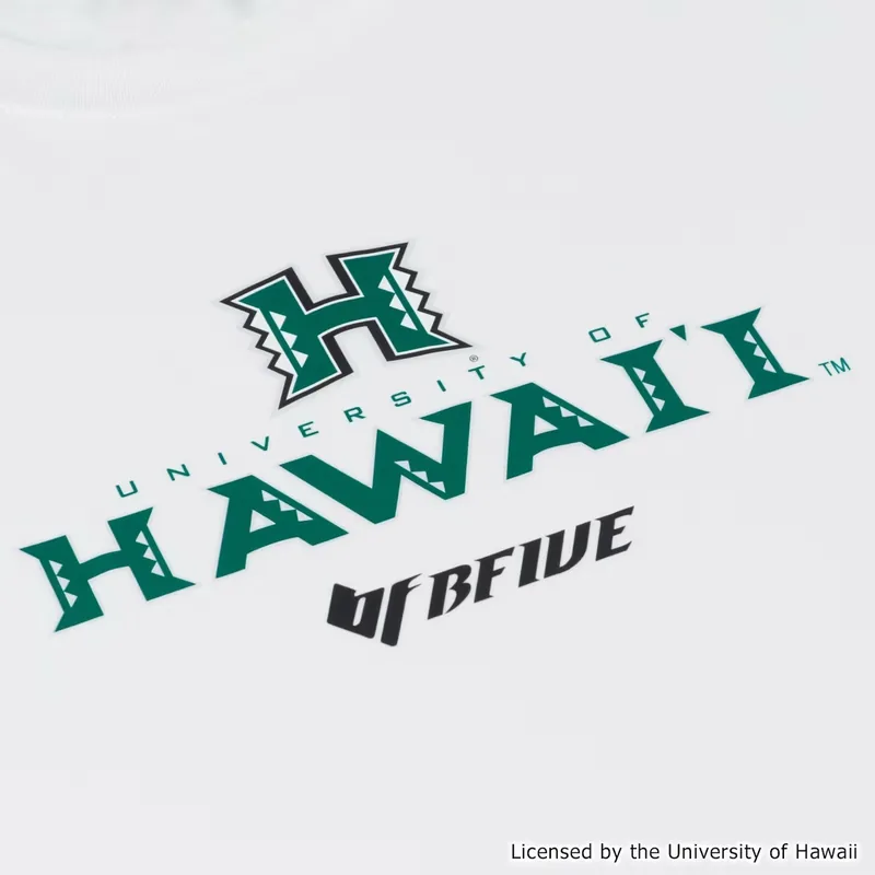 BFIVE HAWAII EMBLEM TEE WHITE 23910 画像5