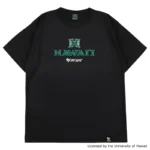 BFIVE HAWAII EMBLEM TEE BLACK  23911 画像2