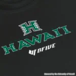 BFIVE HAWAII EMBLEM TEE BLACK  23911 画像3