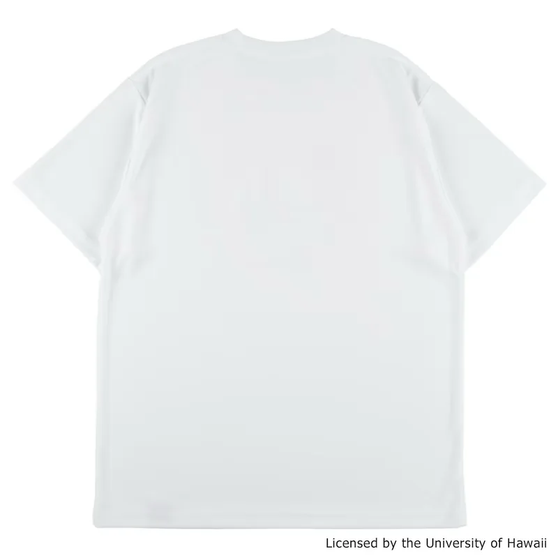 BFIVE HAWAII BEACHCHILL TEE WHITE  23912 画像3