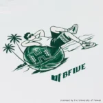 BFIVE HAWAII BEACHCHILL TEE WHITE  23912 画像4
