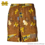 BFIVE　MICHIGAN STREET SHORTS BROWN [膝上丈] | バスケ 練習着23945 画像1