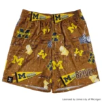 BFIVE　MICHIGAN STREET SHORTS BROWN [膝上丈] | バスケ 練習着23945 画像2