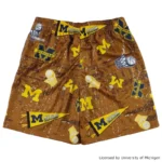 BFIVE　MICHIGAN STREET SHORTS BROWN [膝上丈] | バスケ 練習着23945 画像3