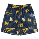 BFIVE　MICHIGAN STREET SHORTS NAVY [膝上丈] | バスケ 練習着　23946 画像2