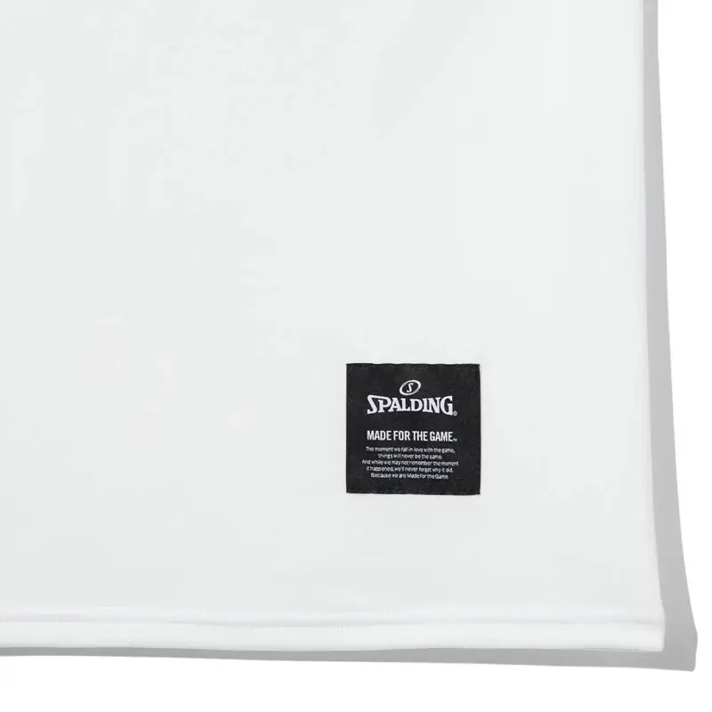SPALDING ロングスリーブTシャツ ユニバーシティ オブ ミシガン SMT26137M 画像6