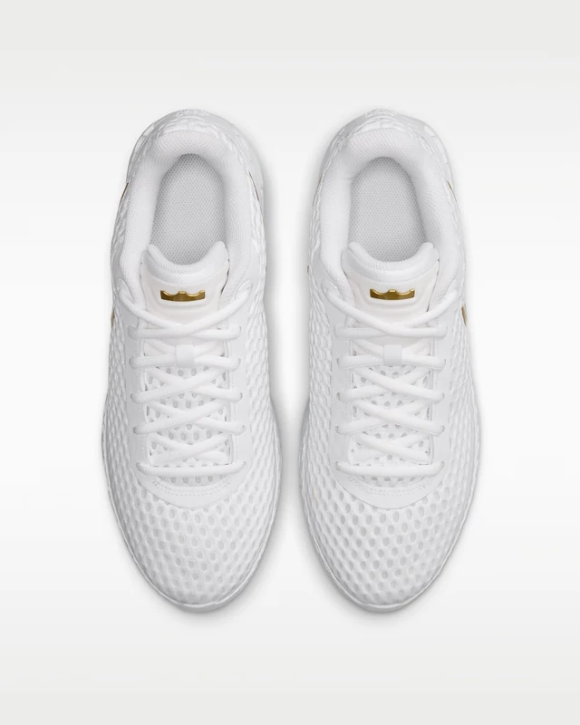 NIKE LEBRON WITNESS X EP　IQ9845-100 画像4