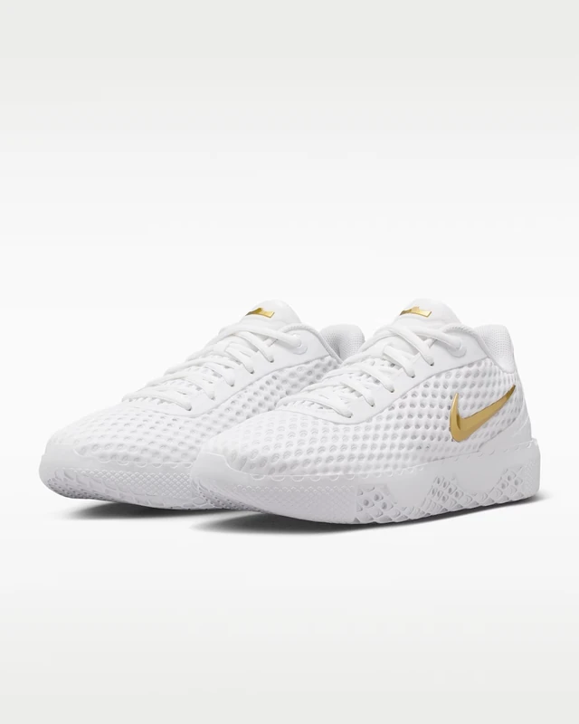 NIKE LEBRON WITNESS X EP　IQ9845-100